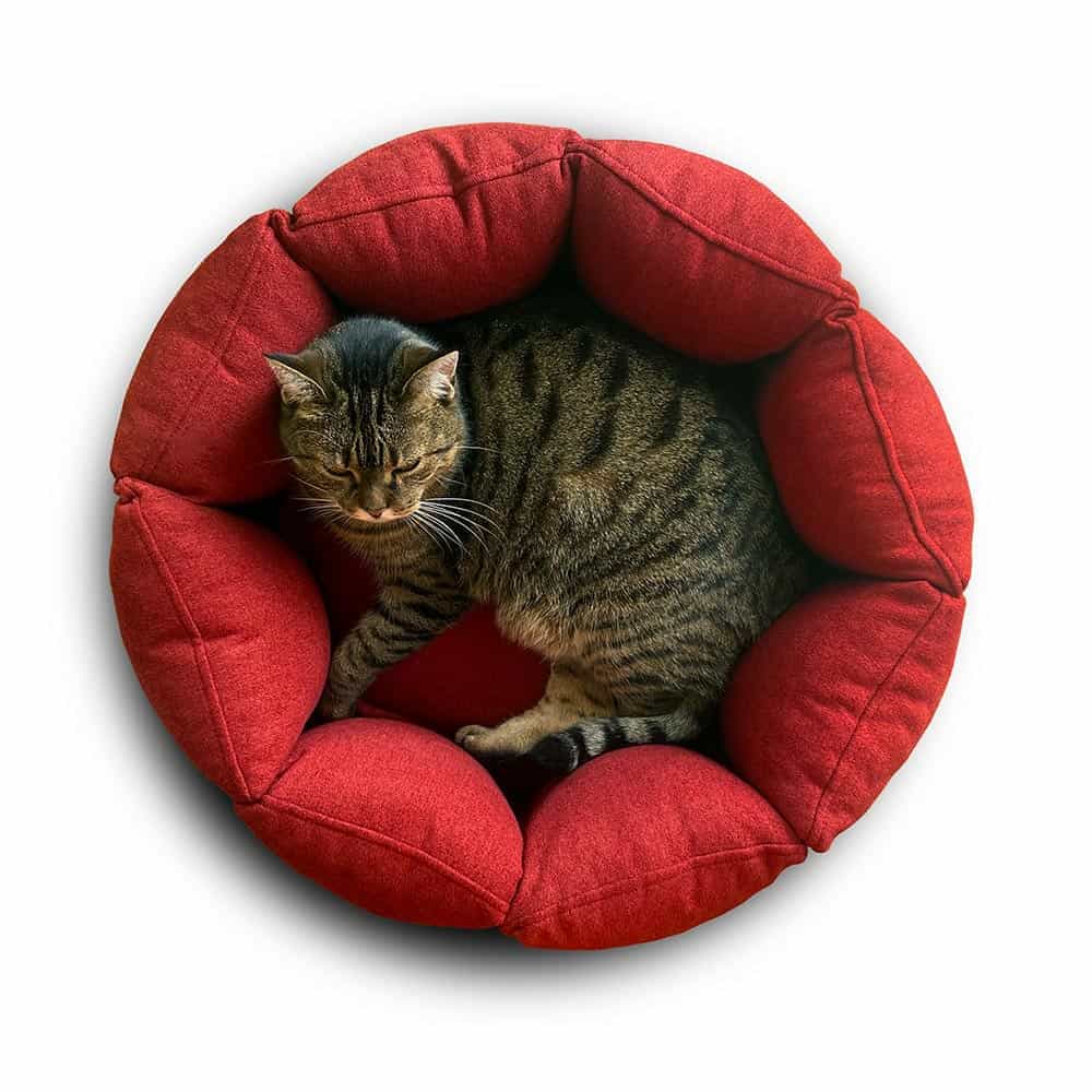 Cosy round cat basket with high rim Bloom by pet-interiors.
